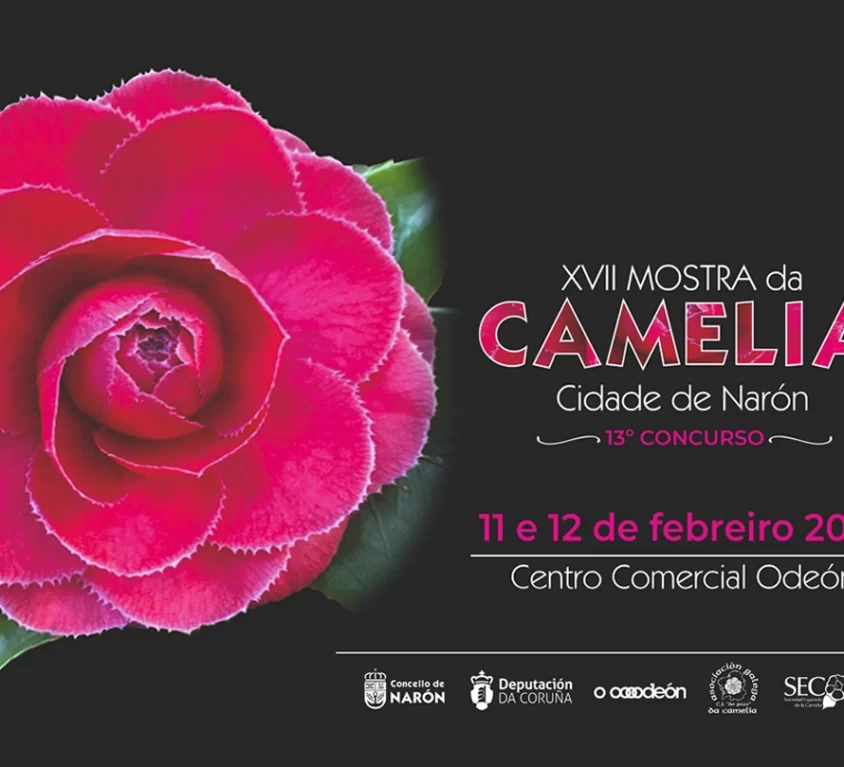 slider_camelias copia